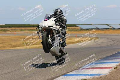 media/May-08-2023-Lets Ride (Mon) [[afc23fd900]]/A Group/2pm (Wheelie Bump)/